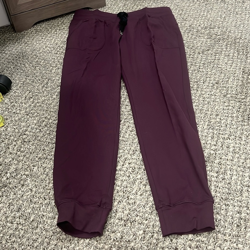 Zyia size large plum joggers.  Gently worn and washed delicate